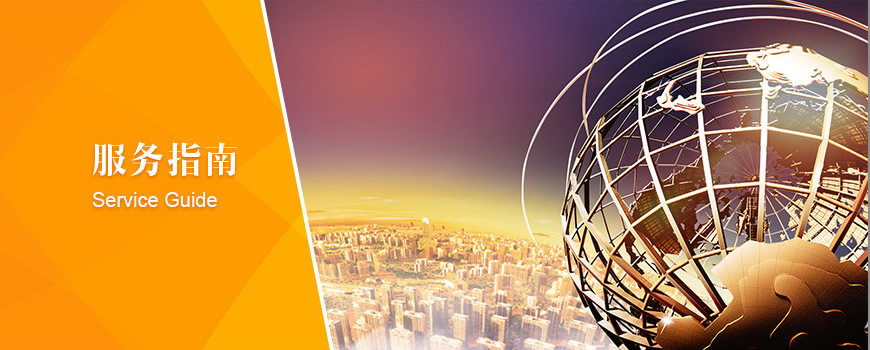 ����ָ��