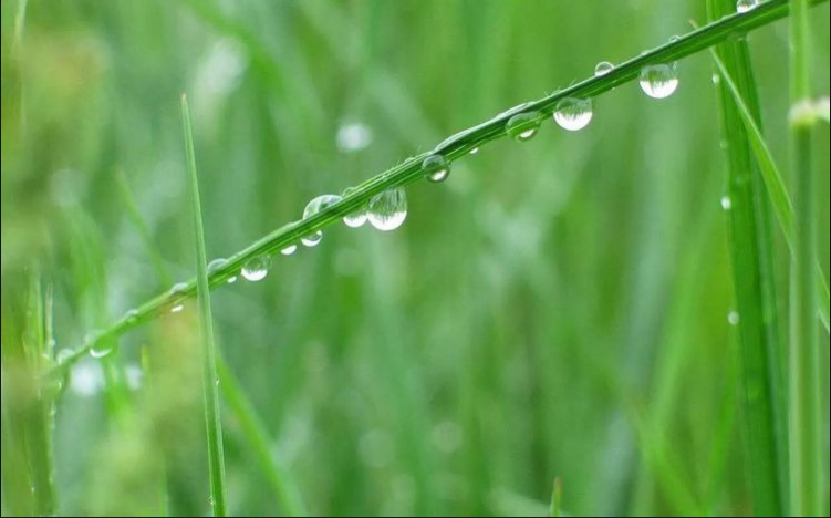 與春天相約 與春天相約