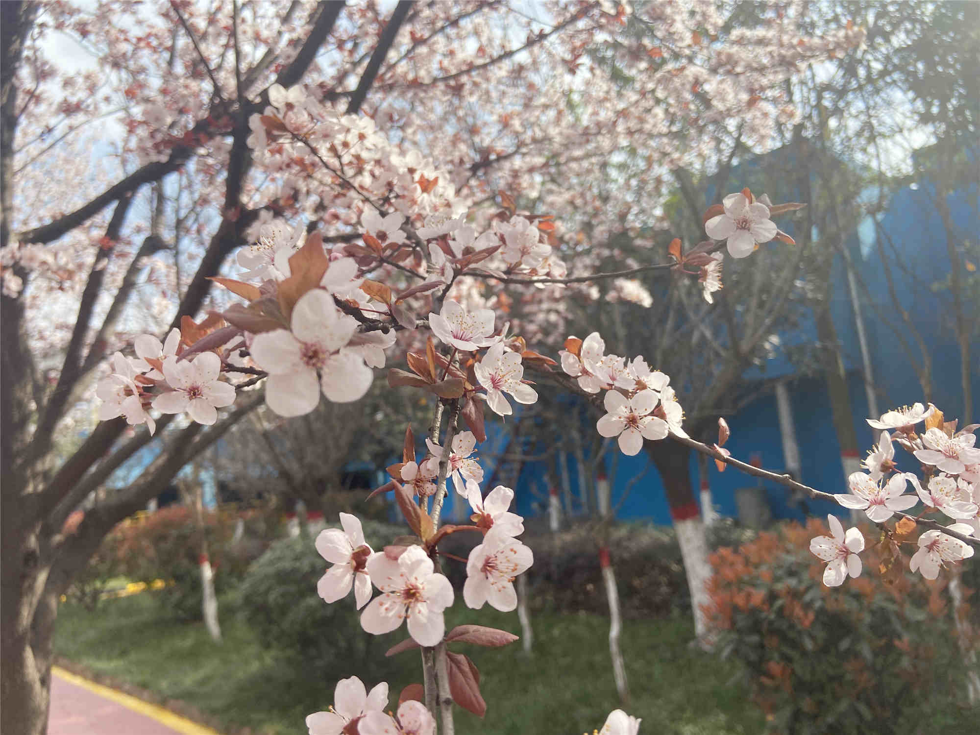 著新裝、換新顏，“我們”在行動