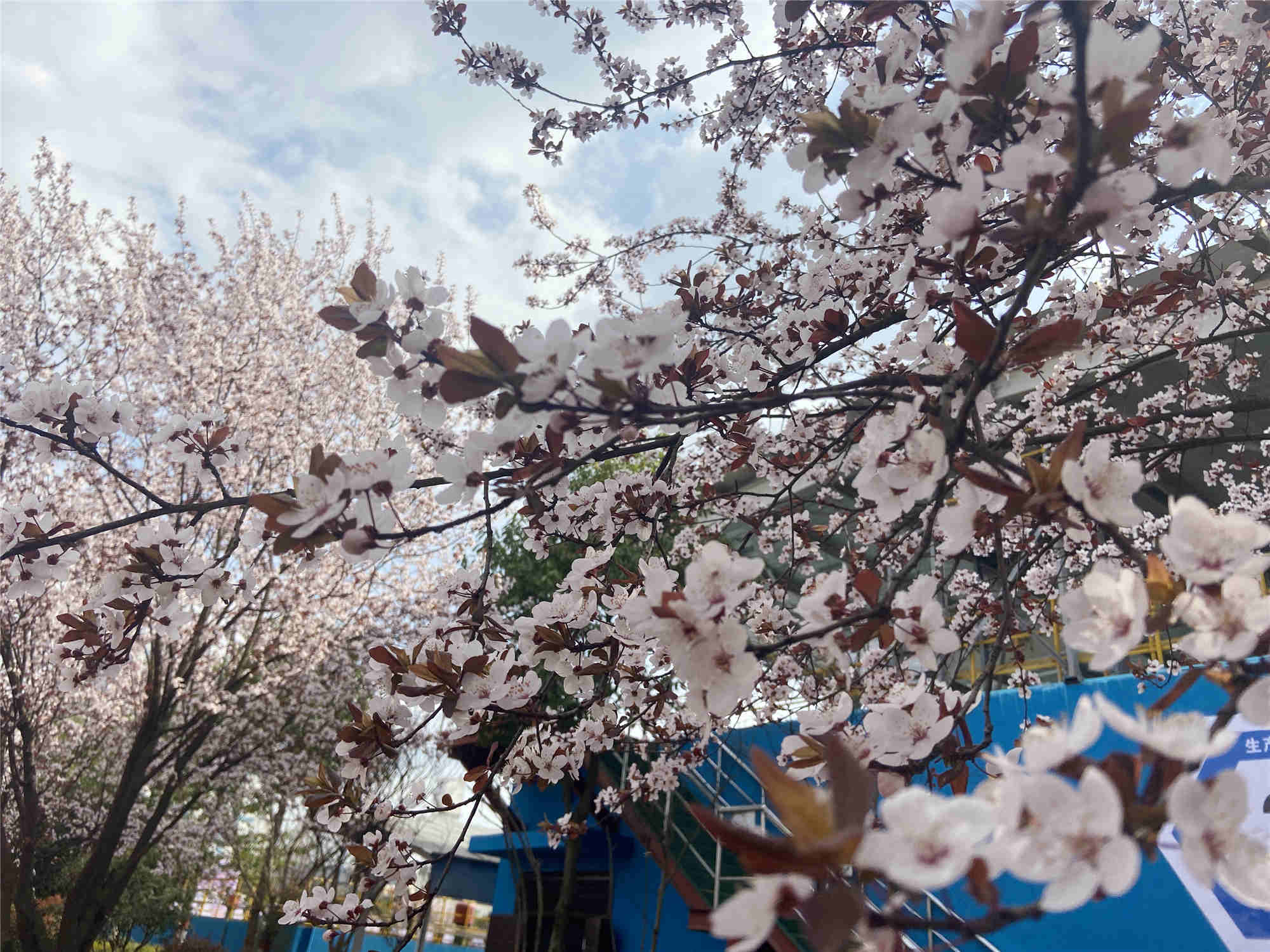 著新裝、換新顏，“我們”在行動