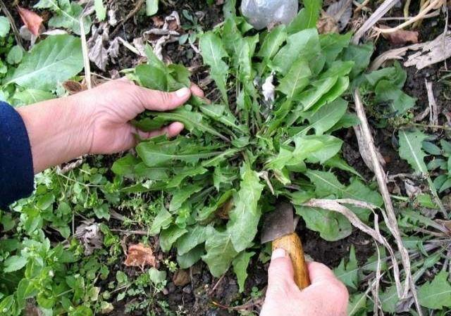 不舍的一份“情緣” 不舍的一份“情緣”