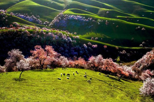 最美莫過(guò)三月天