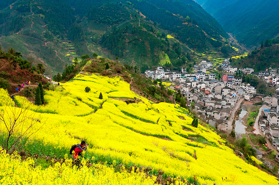 愿所有美好如期而至 愿所有美好如期而至