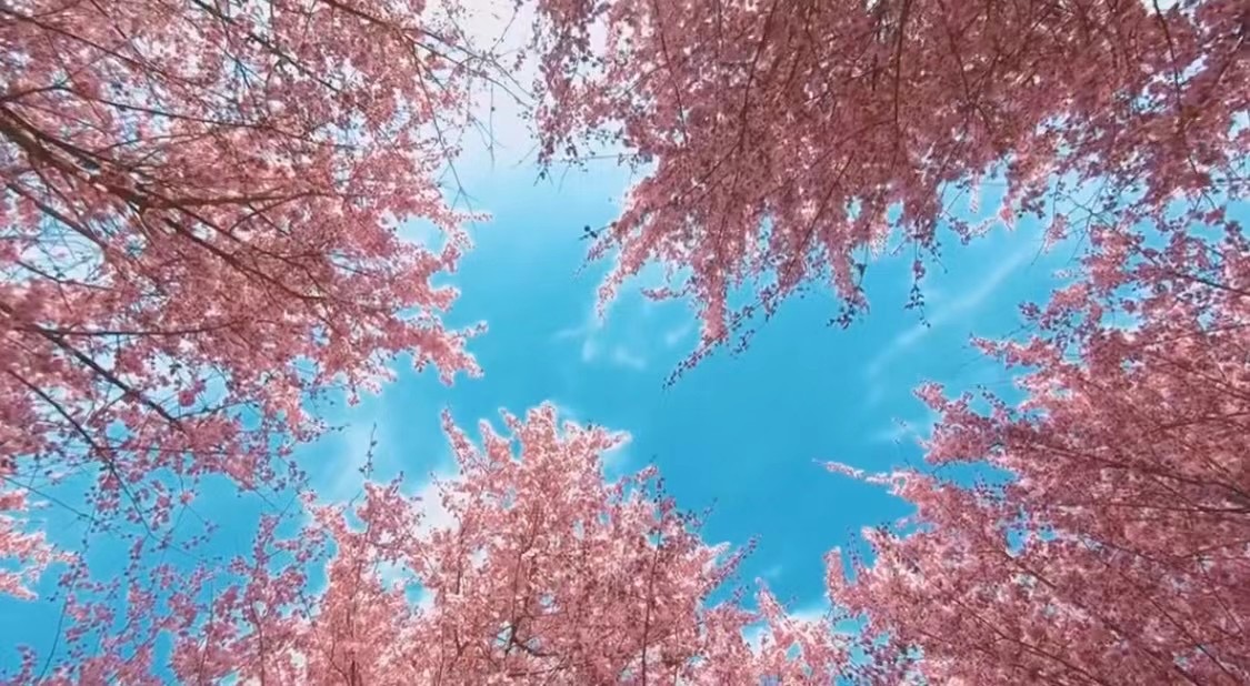 人間三月天，尋春在漢中