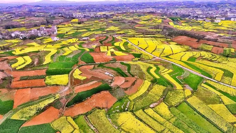 熟悉的味道 熟悉的味道