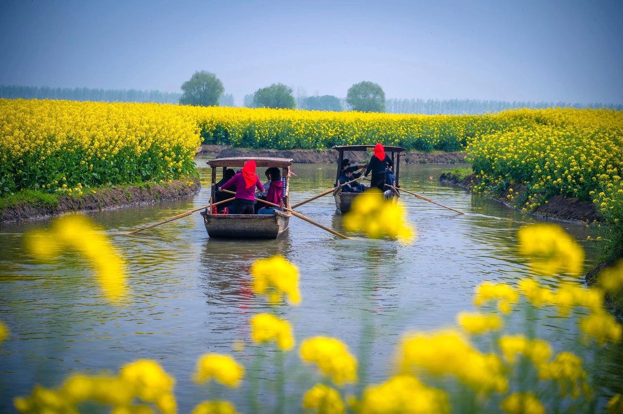 和春天一起,共赴油菜花海 和春天一起,共赴油菜花海