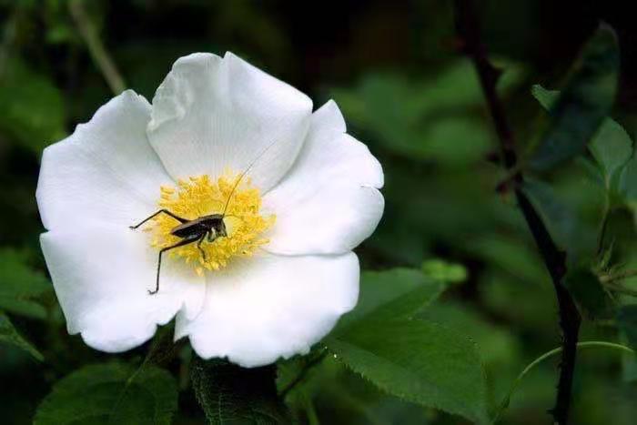 �̻��h�� ��ؓ(f��)�Õr��