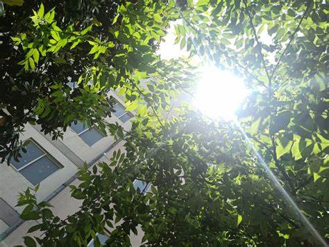 ꖹ⿂���L���