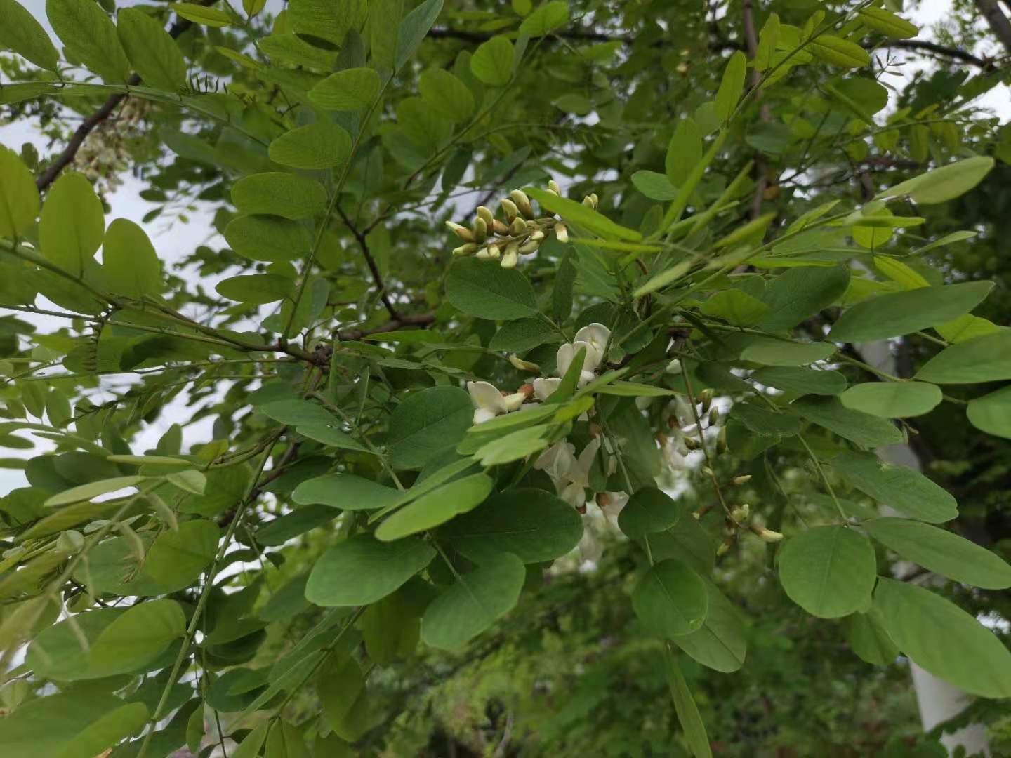 �h䓻�����