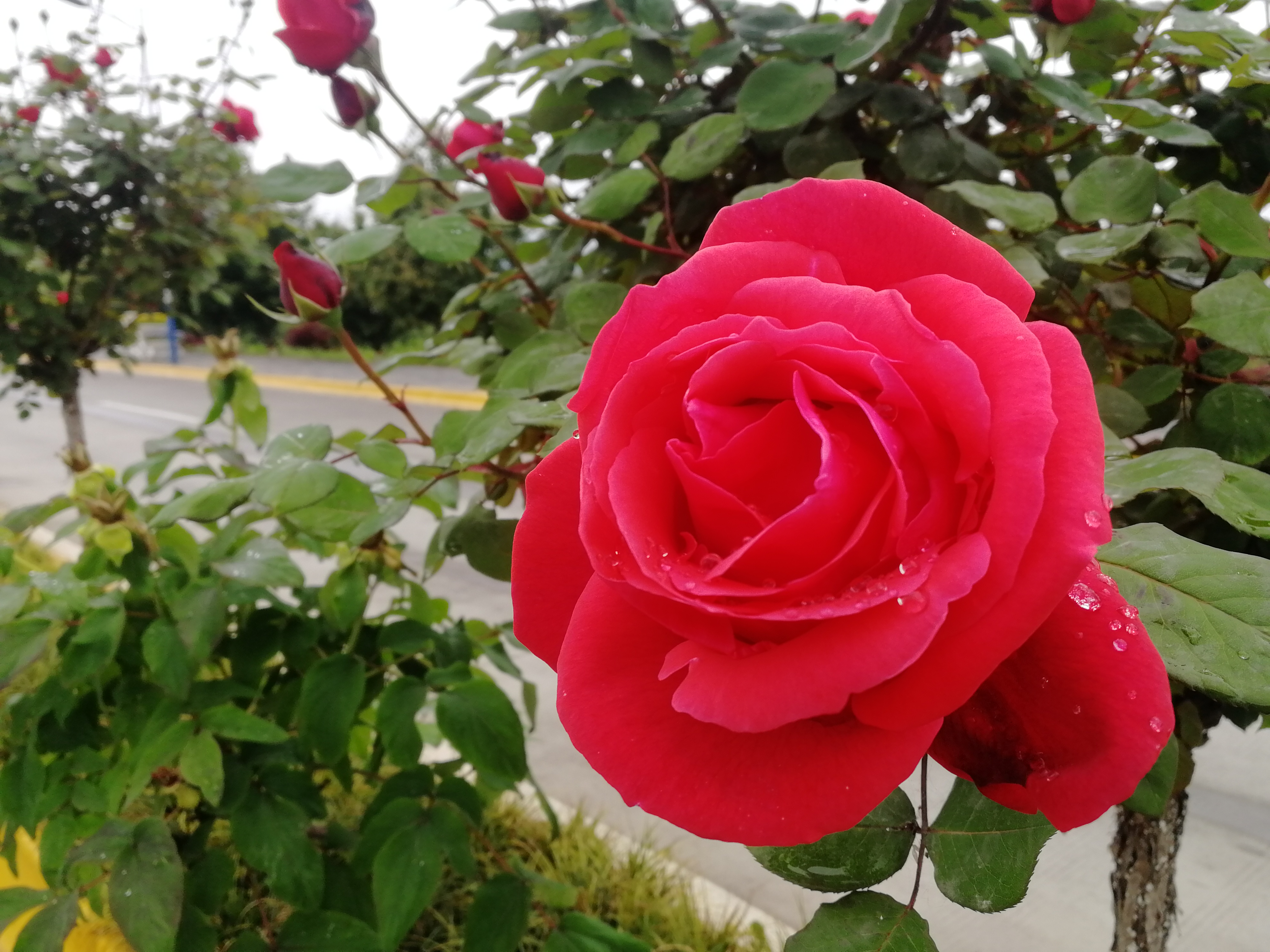 ���@��¼�����