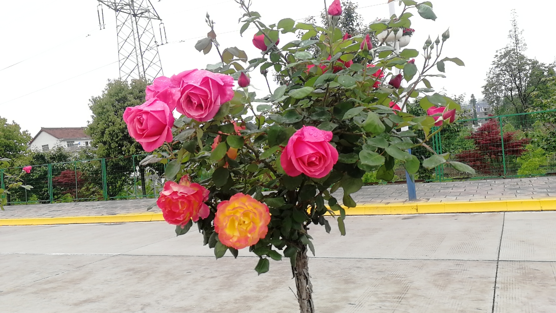 ���@��¼�����