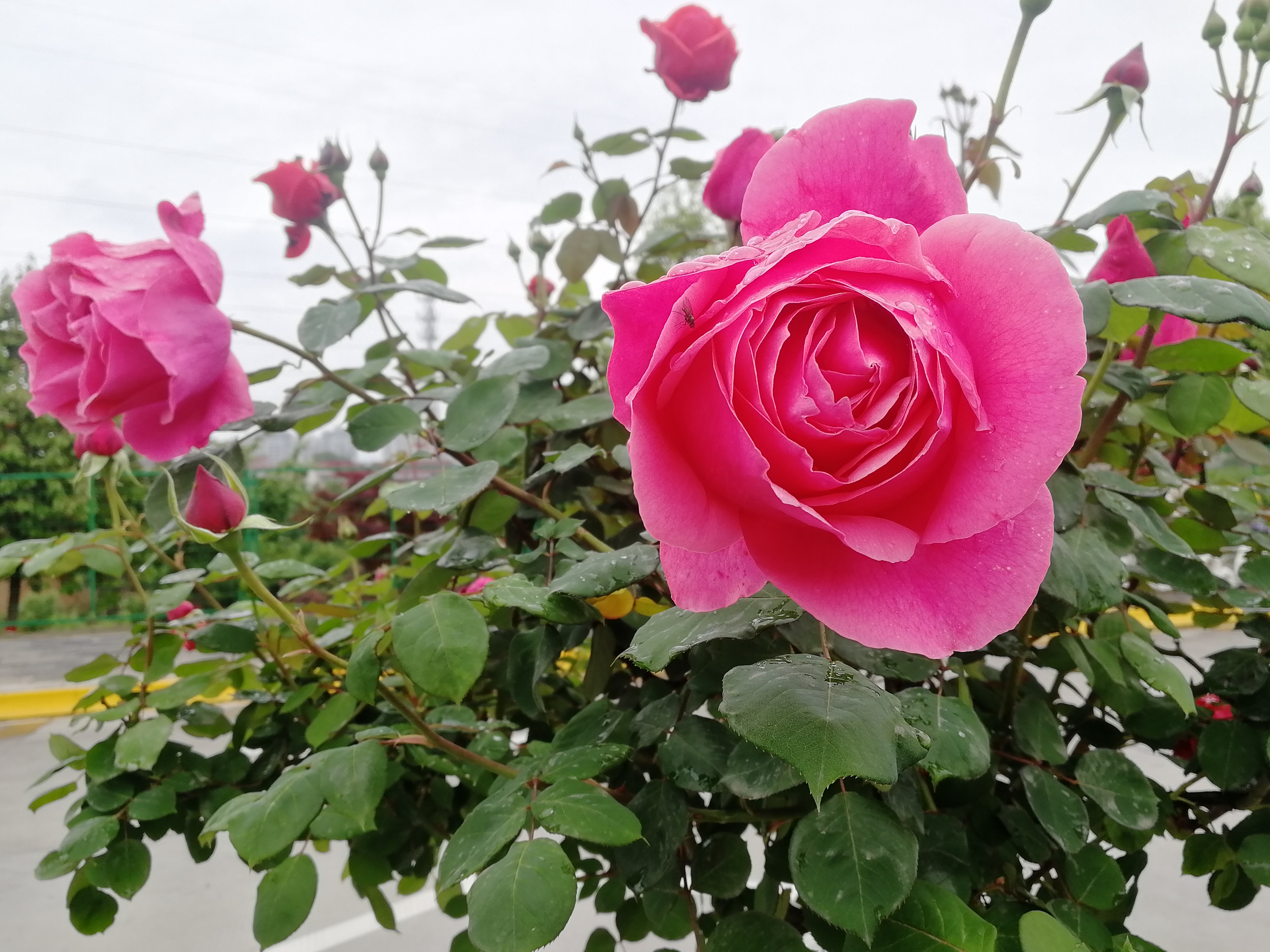 ���@��¼�����