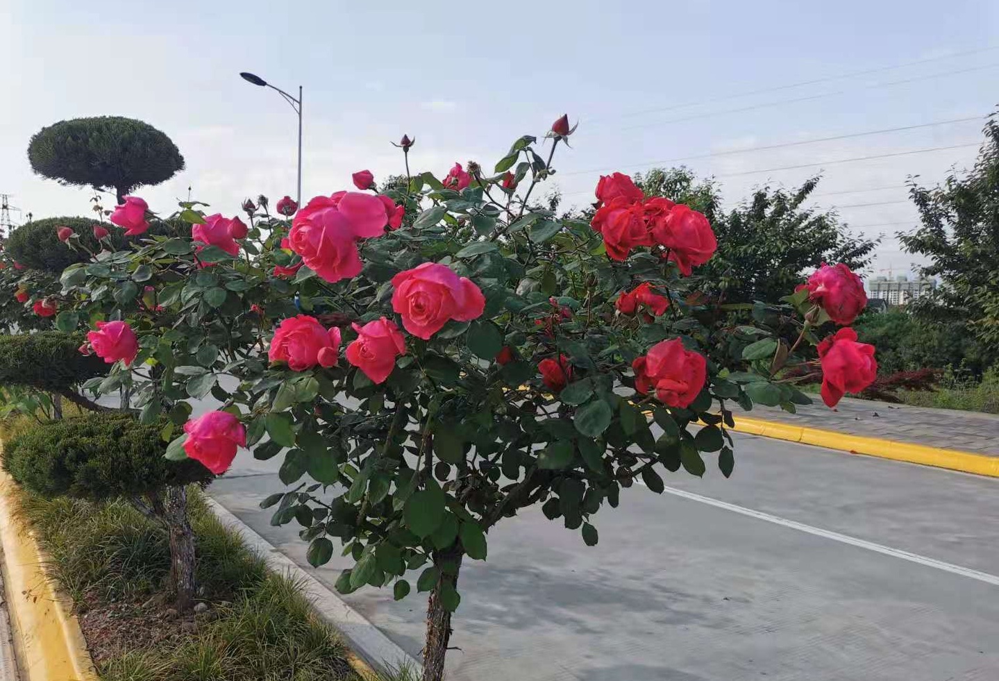 ���@��¼�����