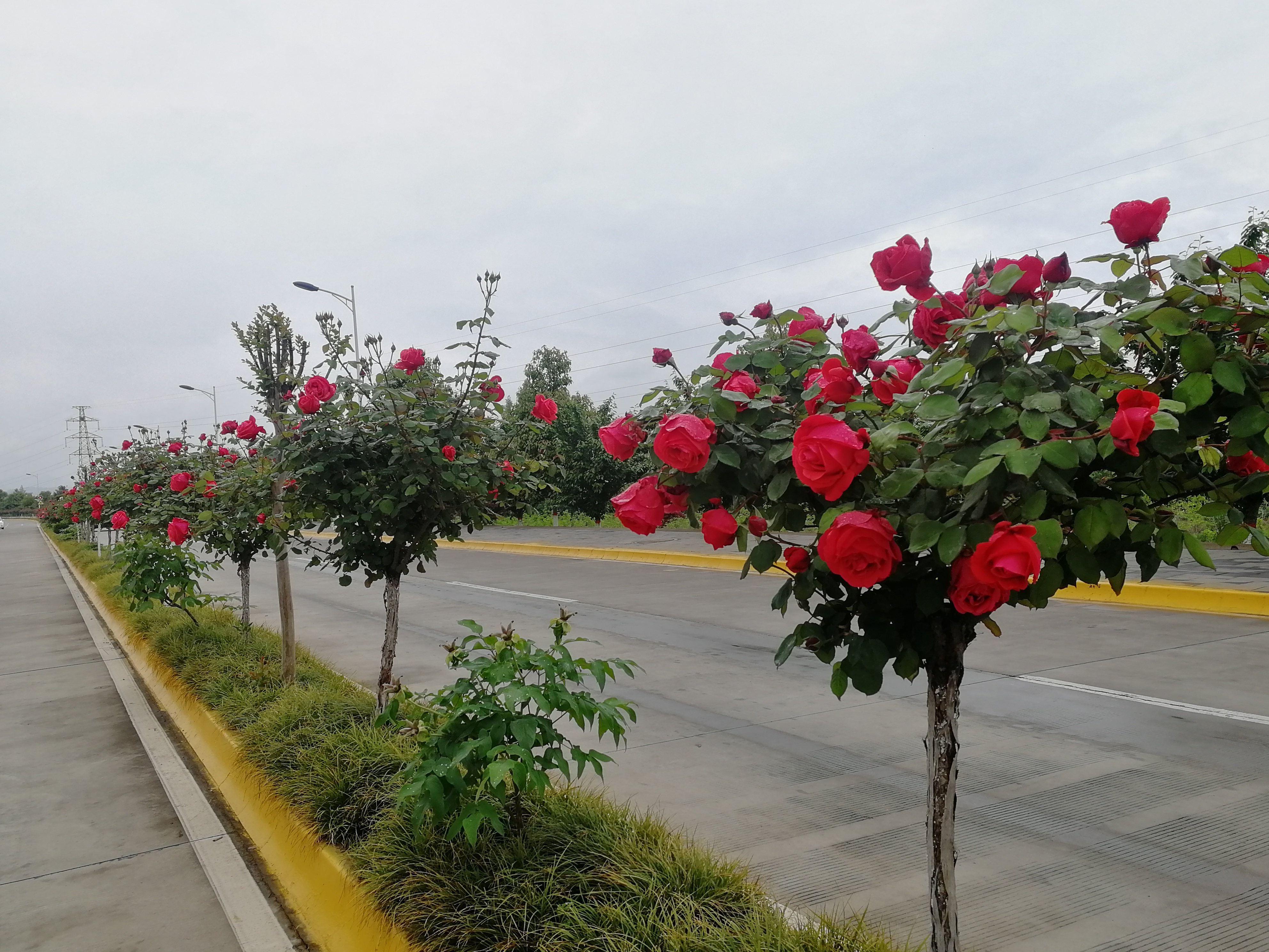 ���@��¼�����