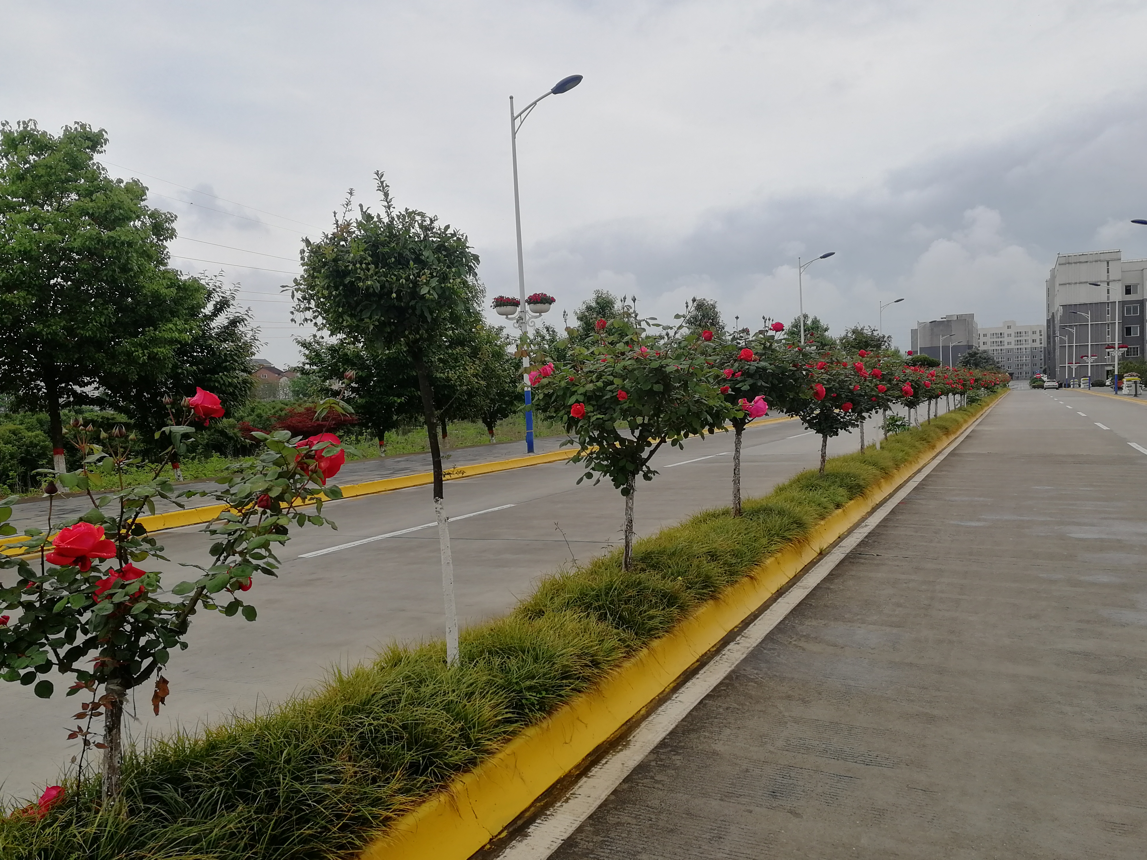 ���@��¼�����