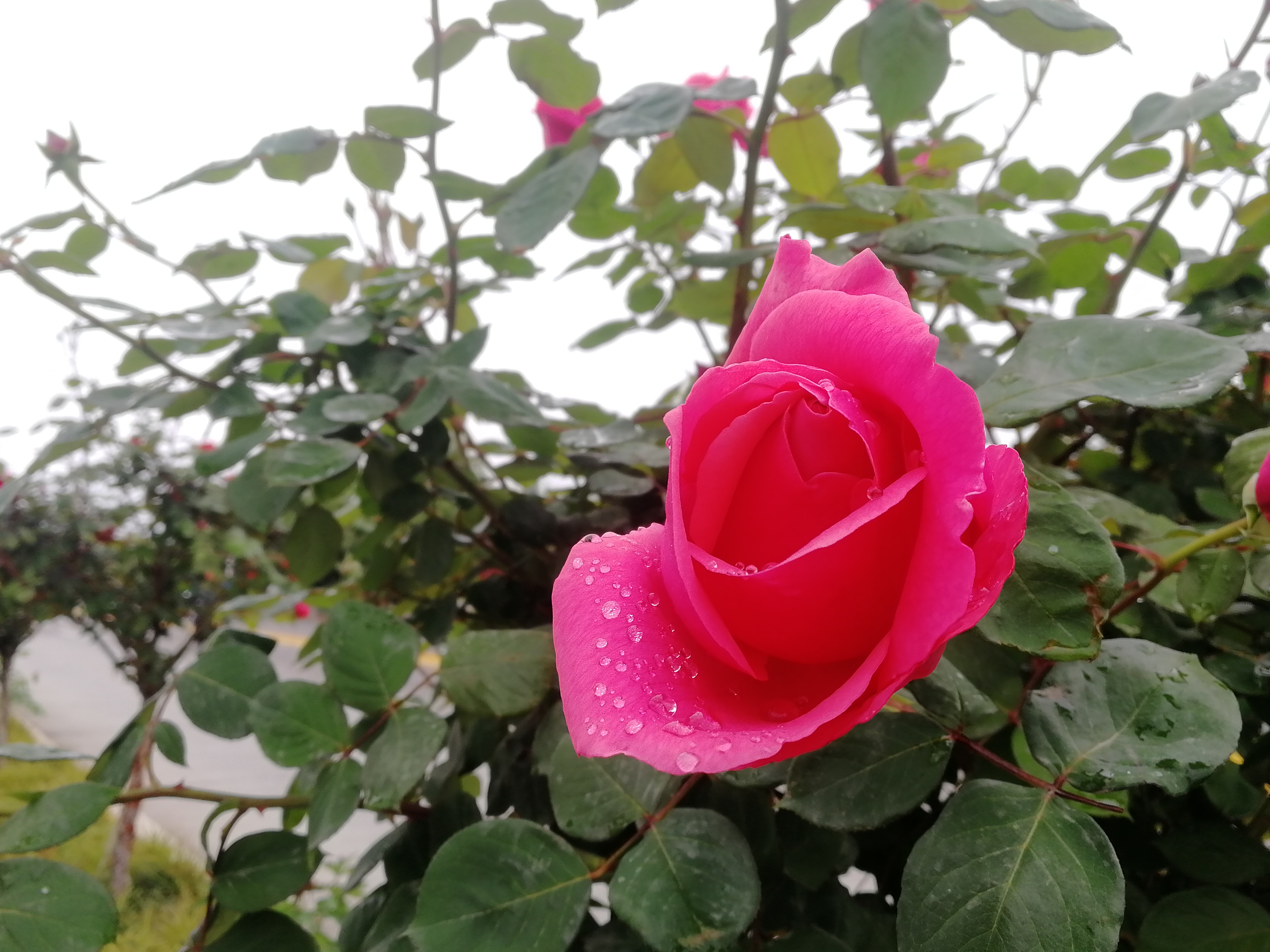 ���@��¼�����