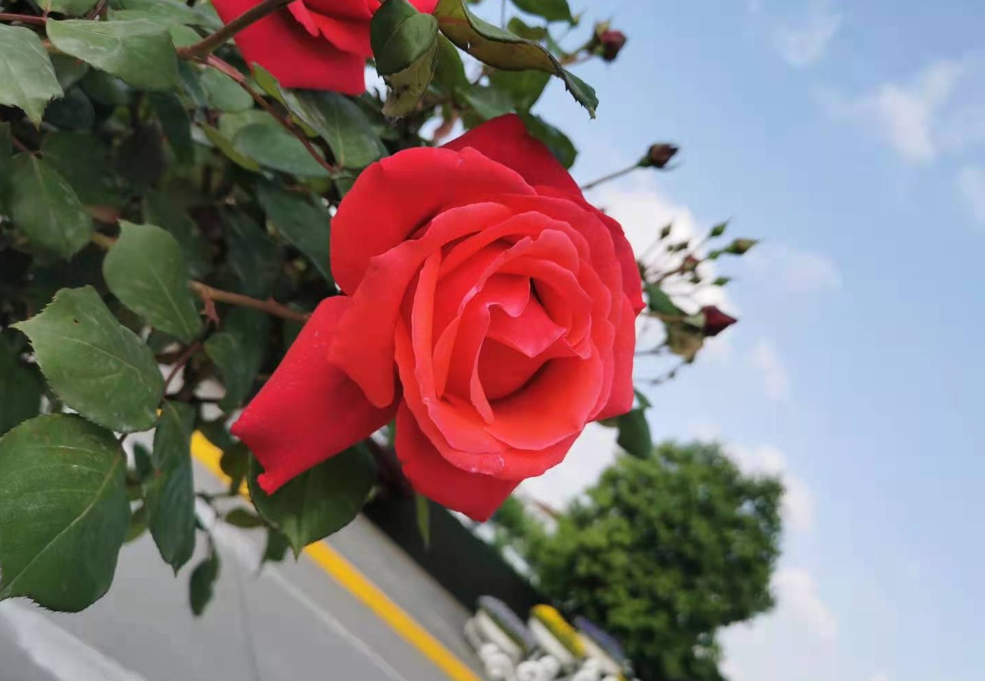 ���@��¼�����