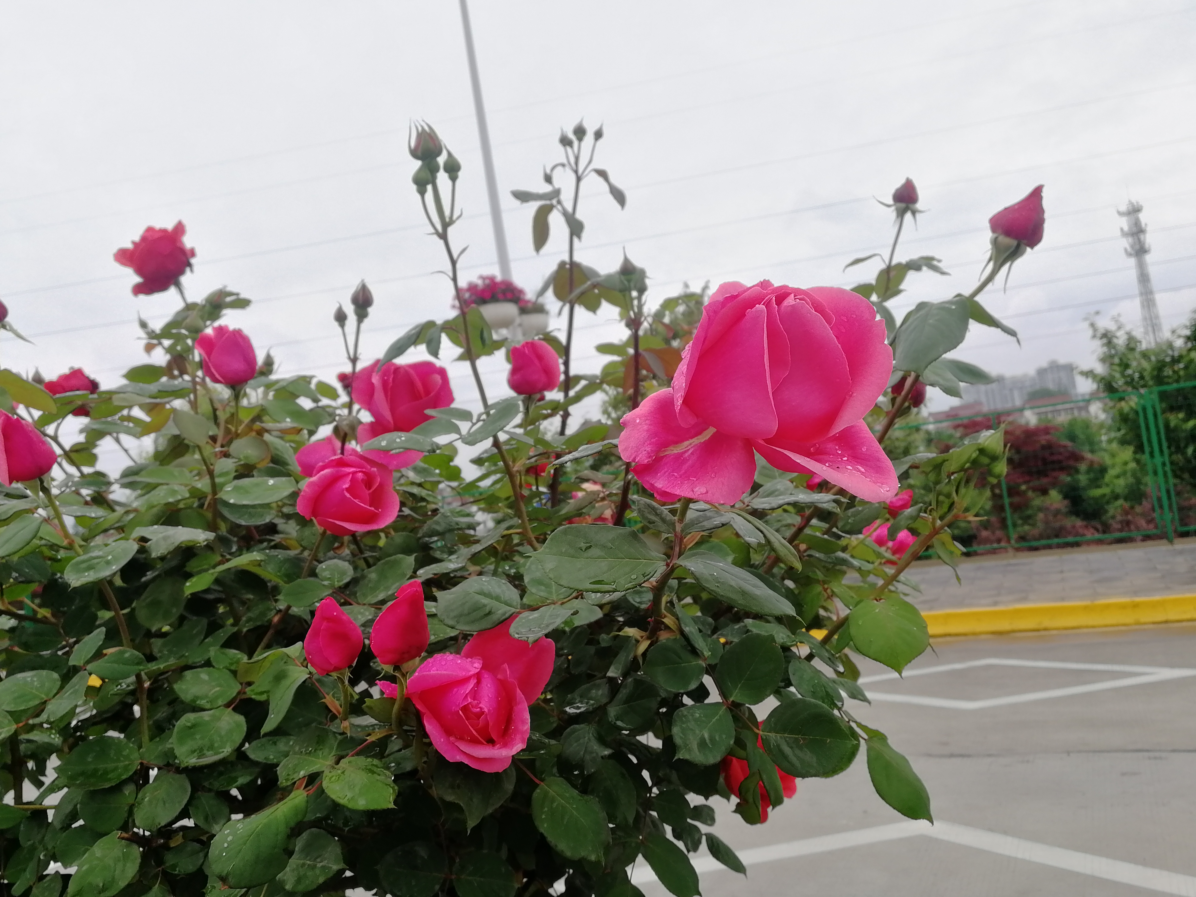 ���@��¼�����