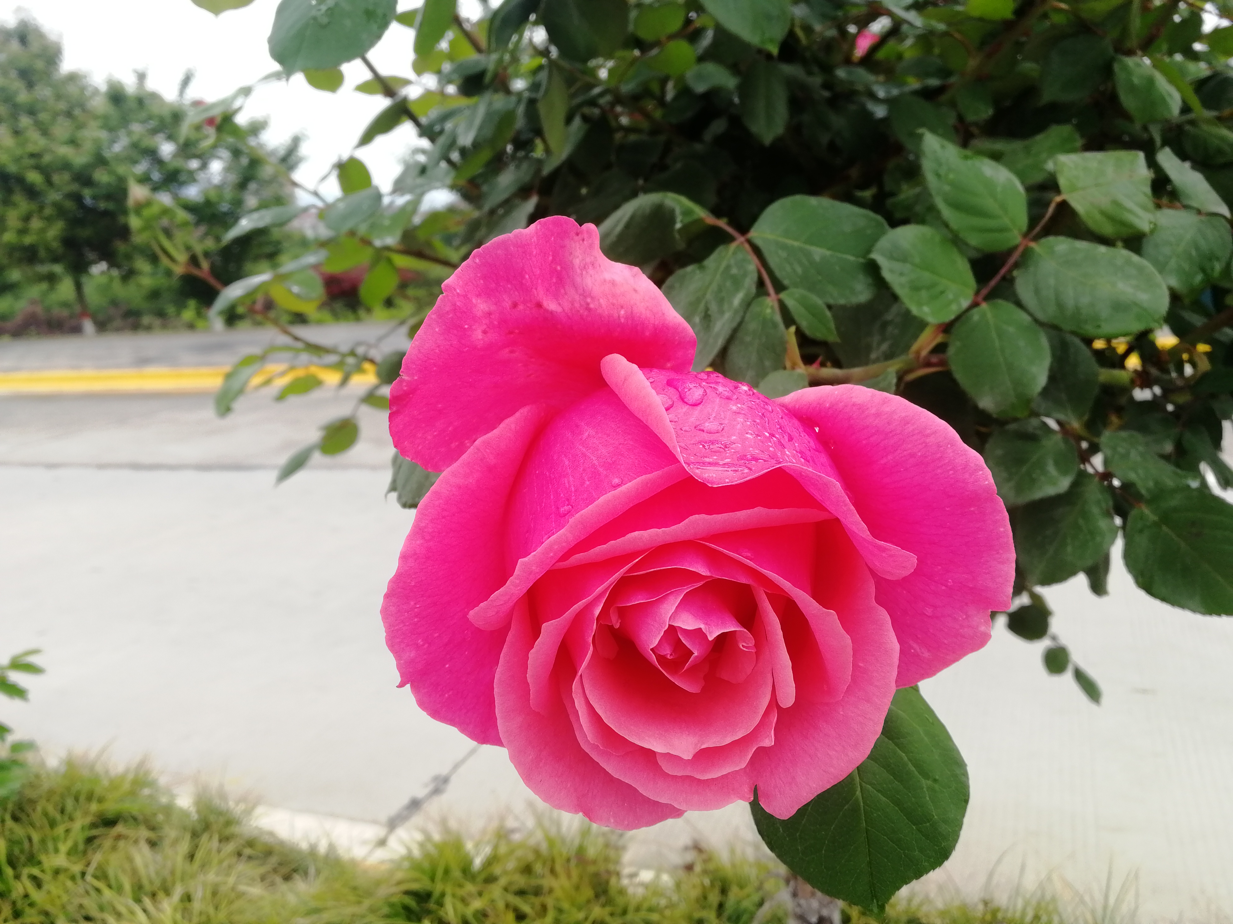 ���@��¼�����