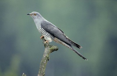 �������ā�