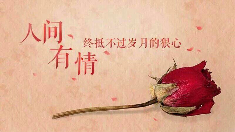 ���g����