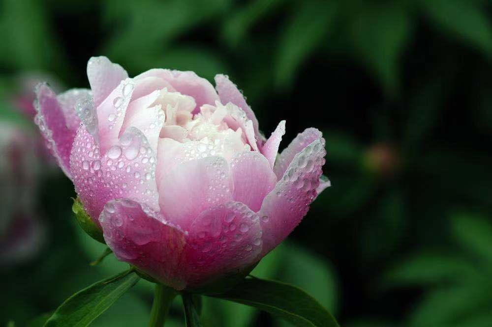 ���l����ˎ��