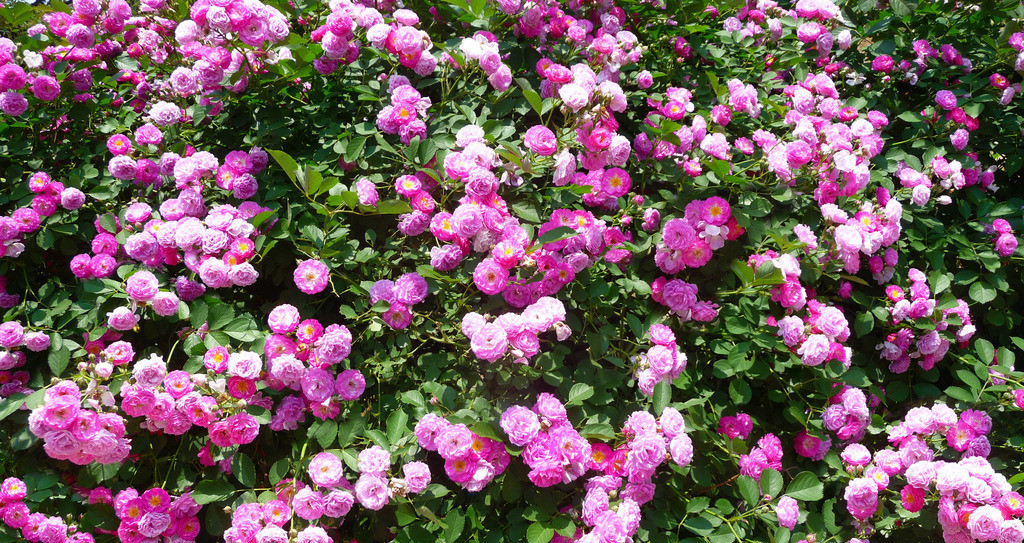 ���_����