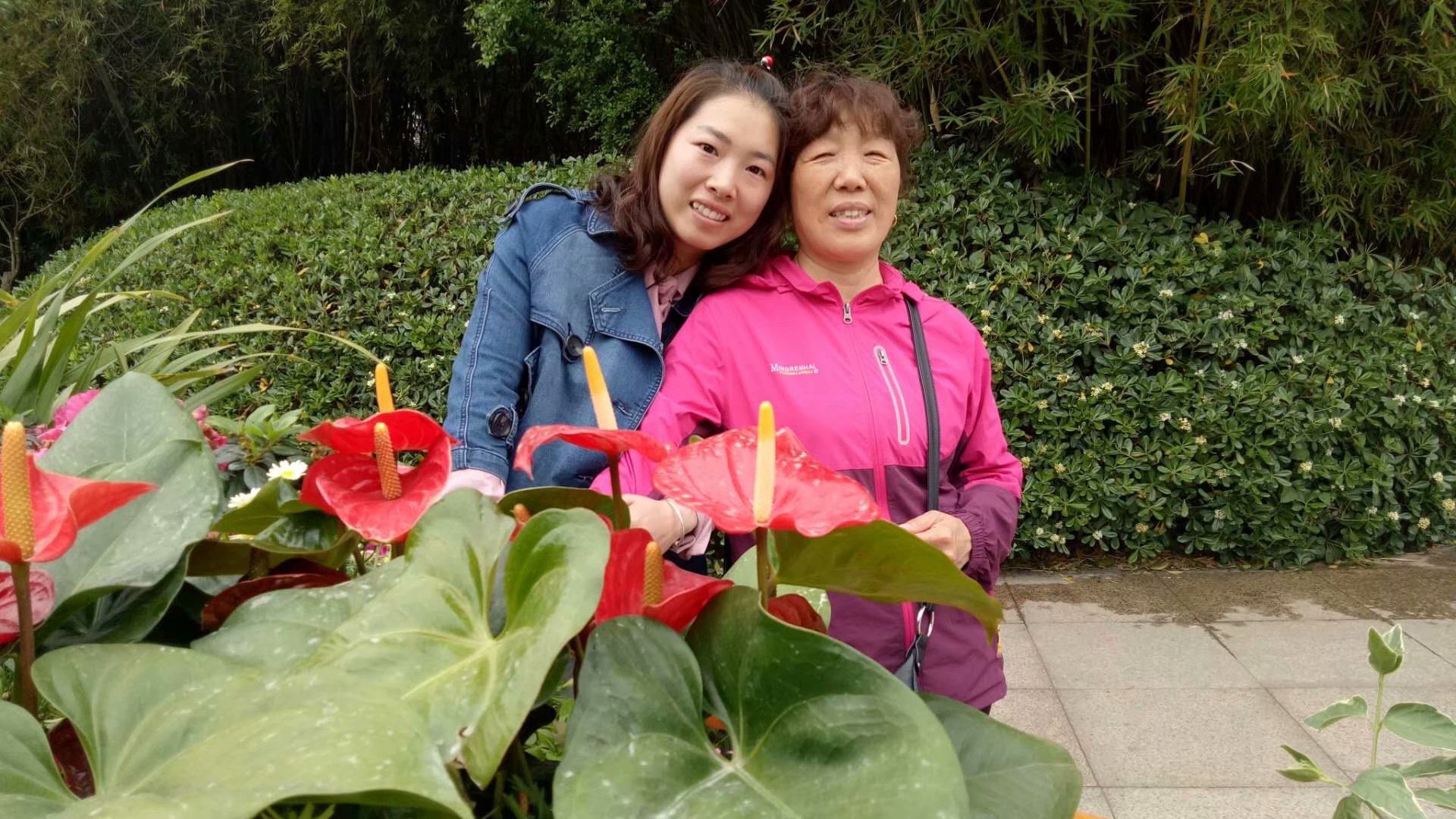 我的母親 我的母親