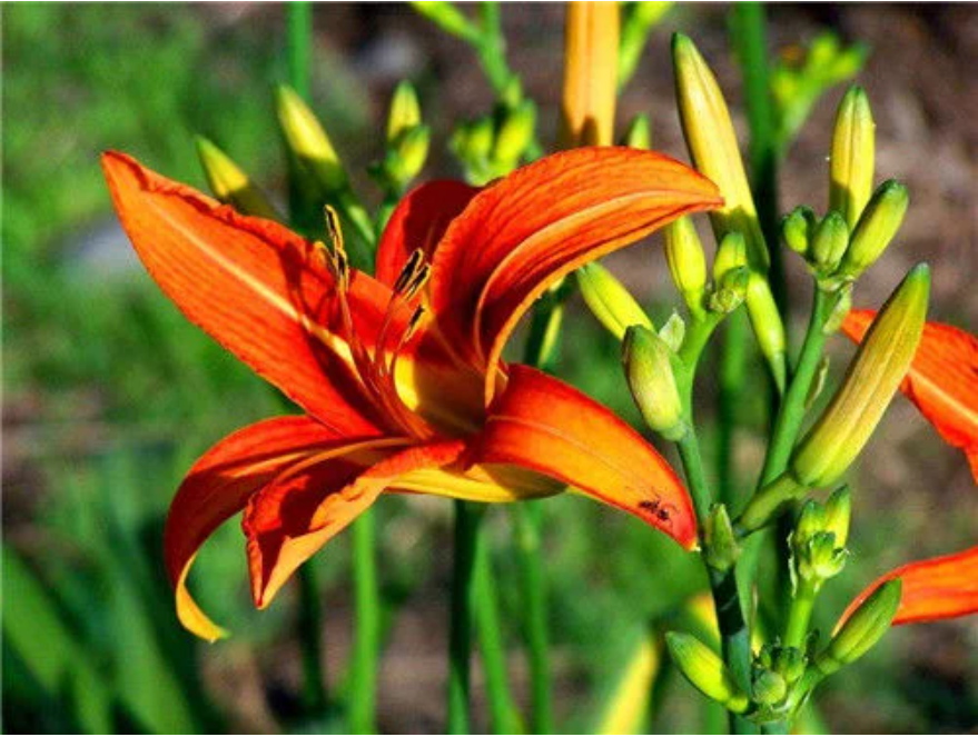 �o߅ĸ�������