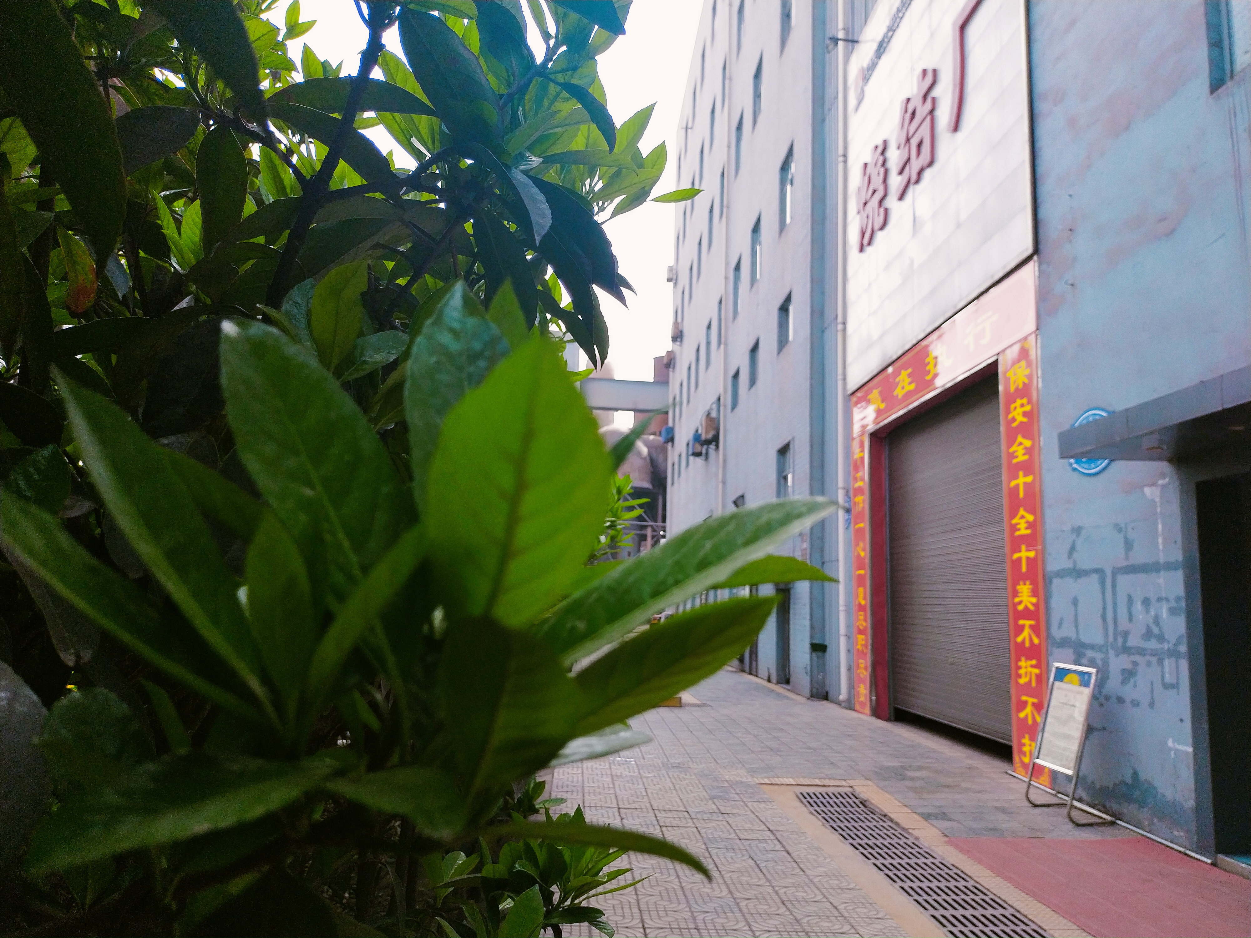 ��t������