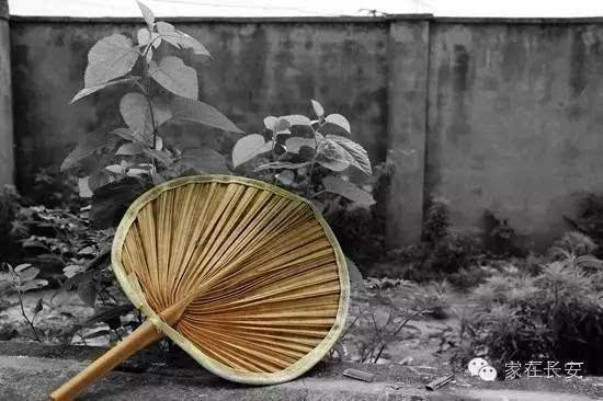 ���̵�����