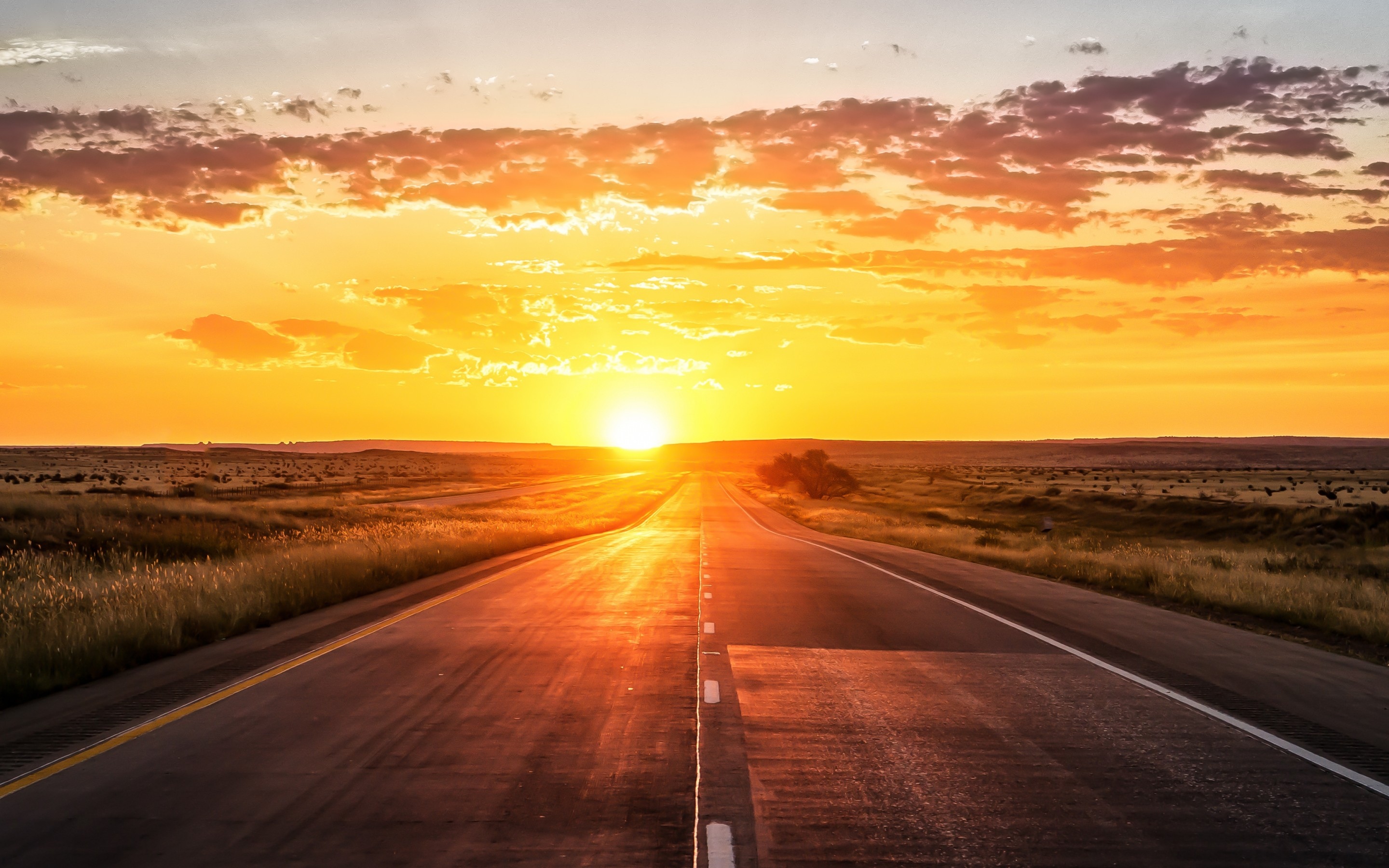 ��������������Ƭ��