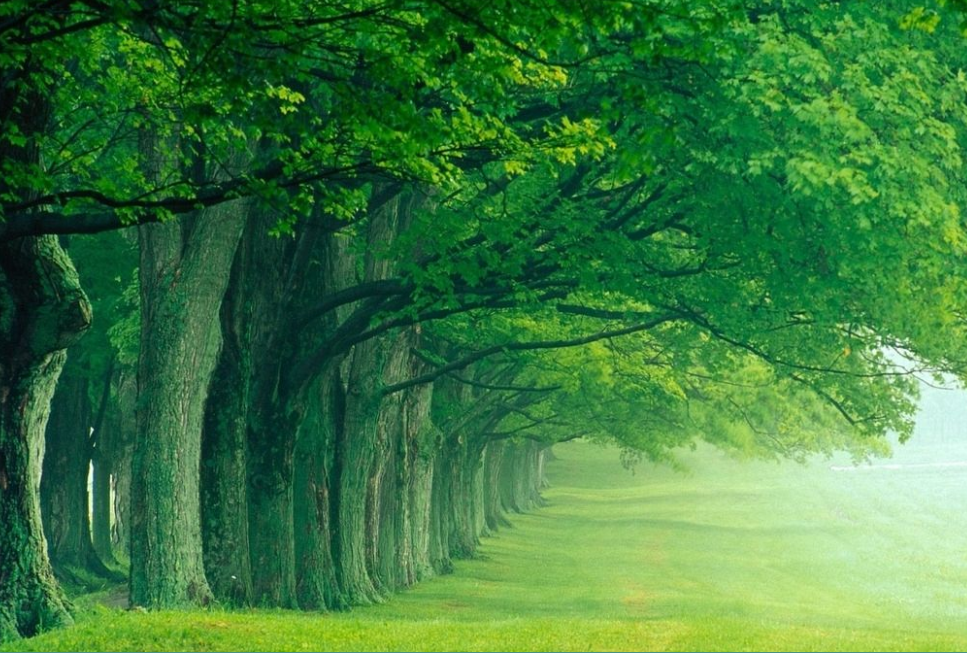 �G��ꎝ������L