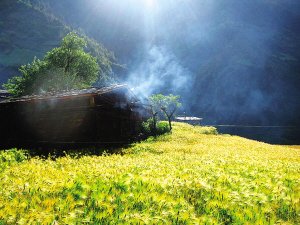 �x���������һ�N��ʽ