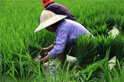 ����ѥ��ĸ�Ů��