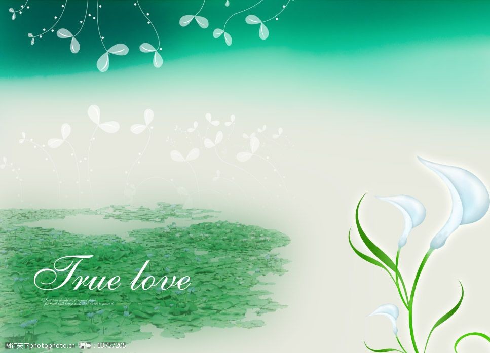 ����ֻ����Ҋ