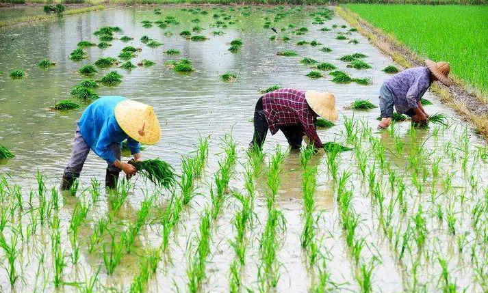 ����һ�������