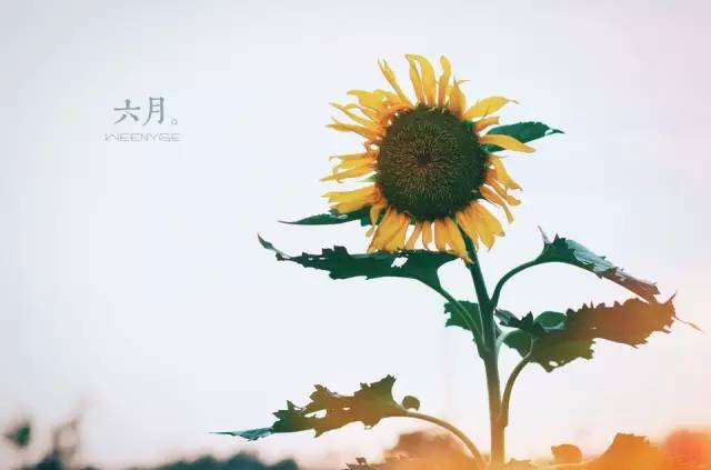 δ��ͯ�Ŀ옷����