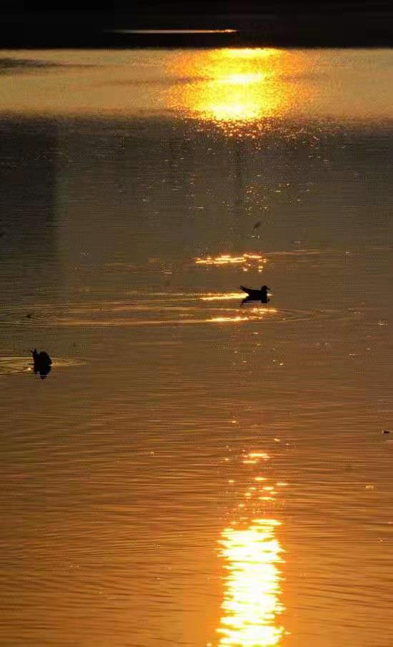 ��߅����