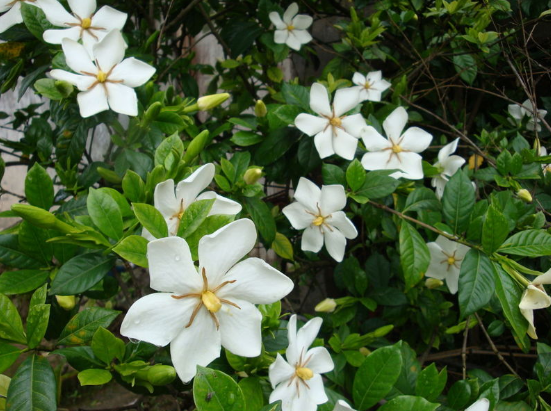 ����r �d�ӻ��_