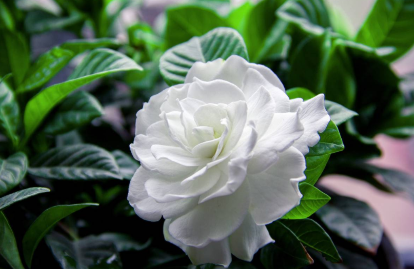 �d�ӻ��_(k��i)