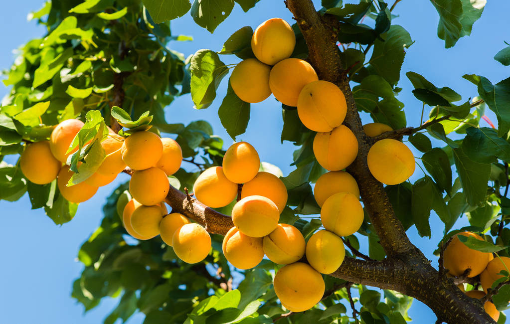 ���l(xi��ng)������