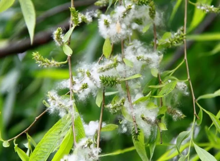 ����һ�������h�w�r(sh��)