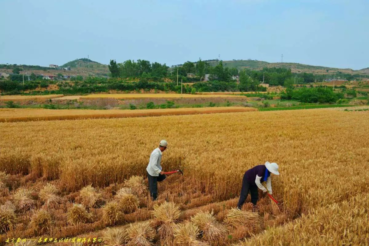 ĸ�H���ræ�r��