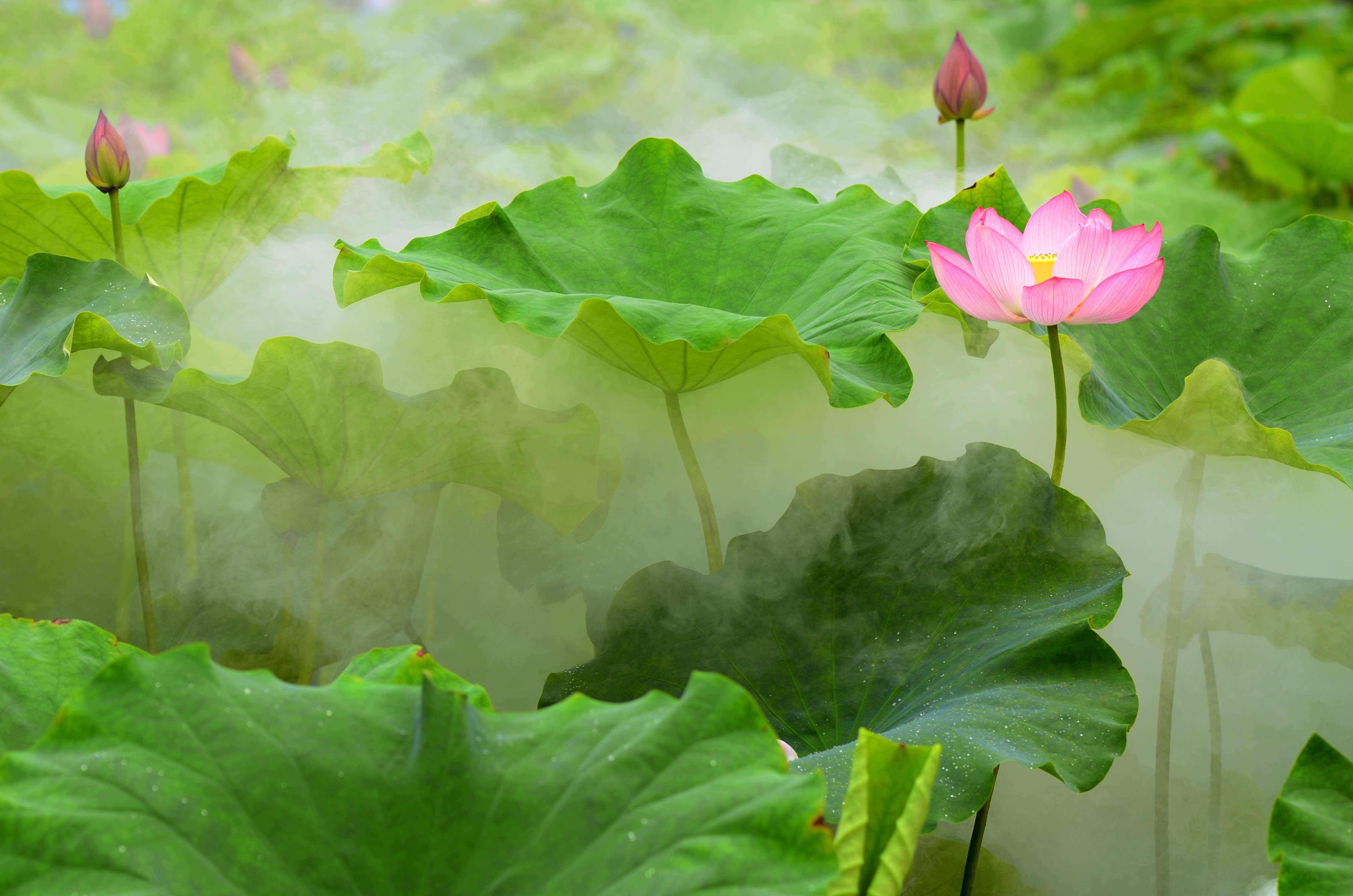 �����S�P