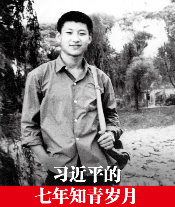 ���ġ�ϵ��������ÿһ�����ӡ�