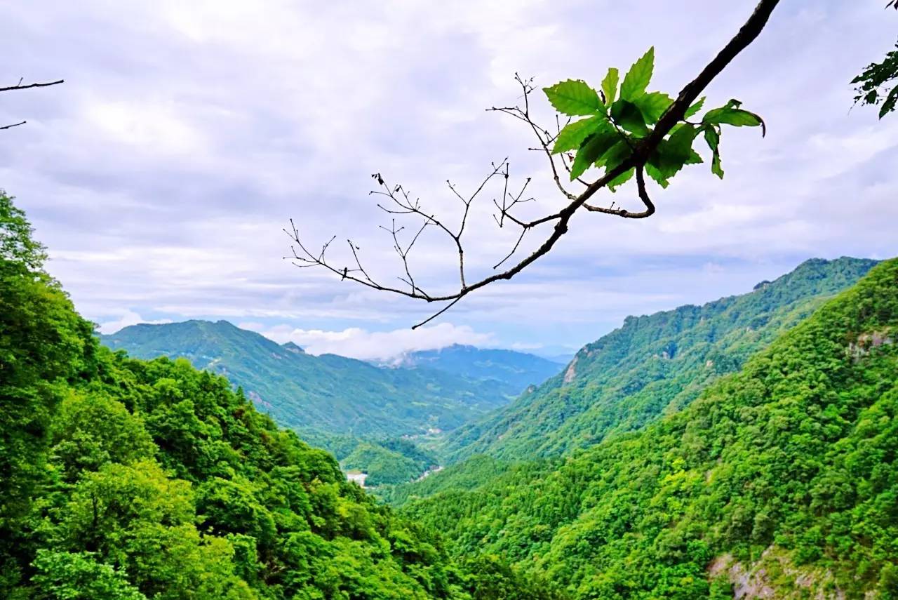 夏日清涼 夏日清涼