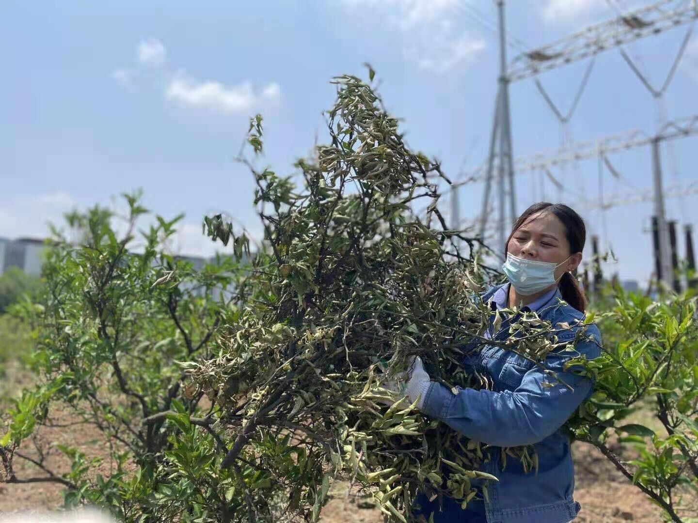 �� �҂��@����