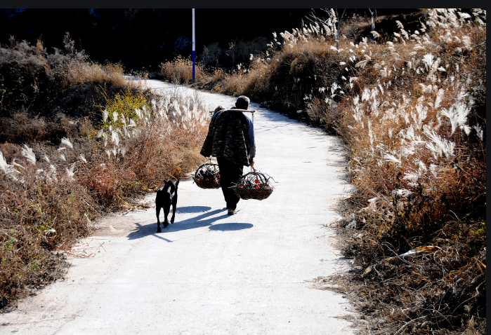 ���H�ı�Ӱ