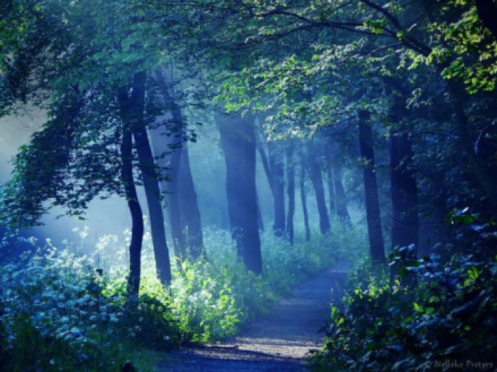 青山綠野,不會老去 青山綠野,不會老去